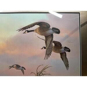 Vintage Owen J. Gromme Canada Geese Framed Wildlife Print 1963 Large Wall Art